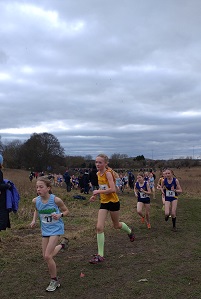 Northern Schools’ Inter-County Cross Country Championship